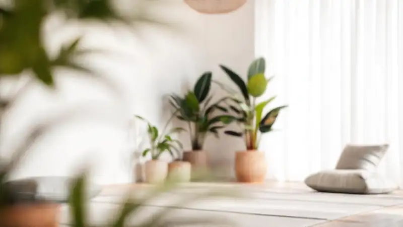 Un espacio zen invita a la calma